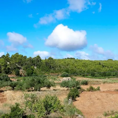 Fterini Sterna & Alletri *