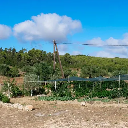 Fterini Sterna & Alletri