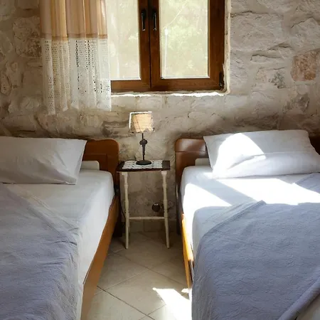 Fterini Sterna & Alletri *