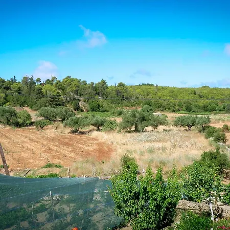 Fterini Sterna & Alletri *