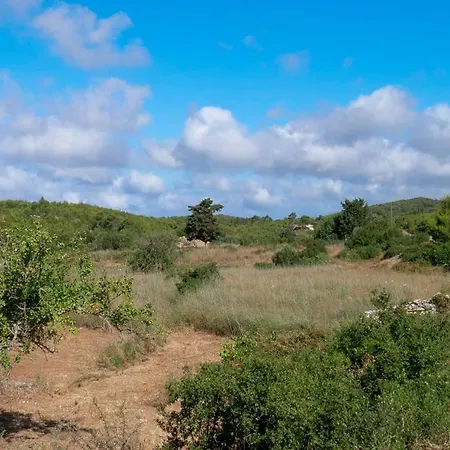 Fterini Sterna & Alletri