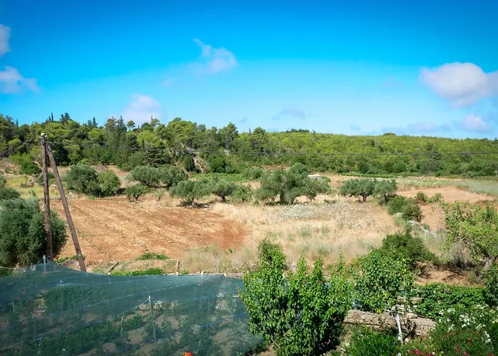 Fterini Sterna & Alletri *