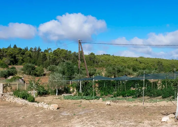 Fterini Sterna & Alletri