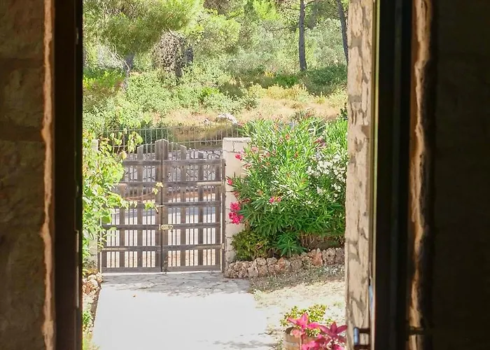 Fterini Sterna & Alletri