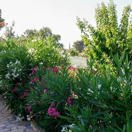 Fterini Sterna & Alletri Agios Leon