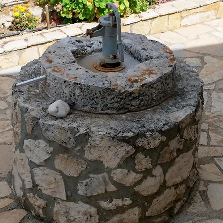Fterini Sterna&alletri Agios Leon