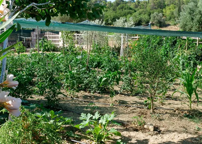 Appartamento Fterini Sterna & Alletri *