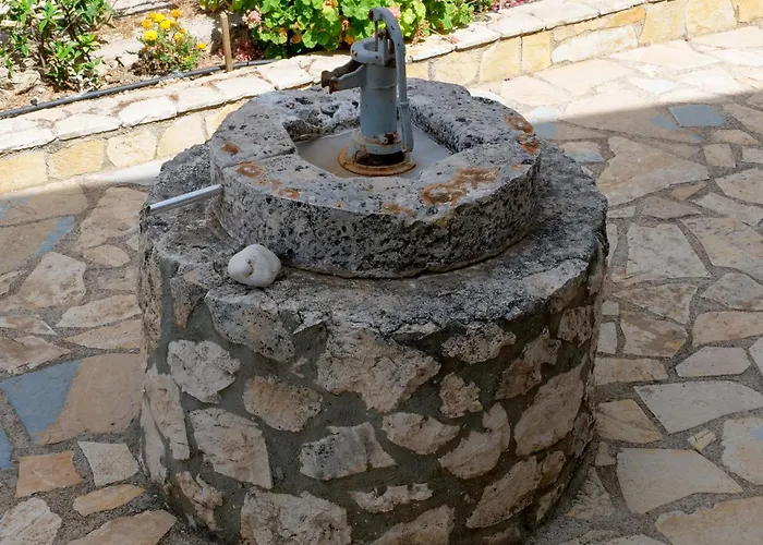 Fterini Sterna & Alletri Agios Leon