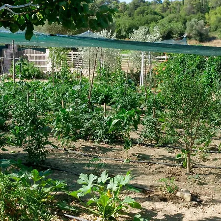 Apartamento Fterini Sterna & Alletri *