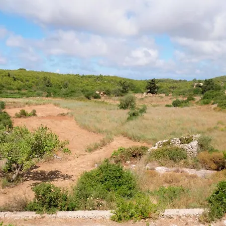 Fterini Sterna & Alletri *