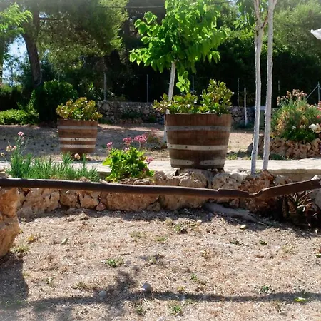 公寓 Fterini Sterna & Alletri Agios Leon