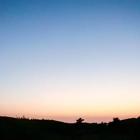 公寓 Fterini Sterna & Alletri Agios Leon